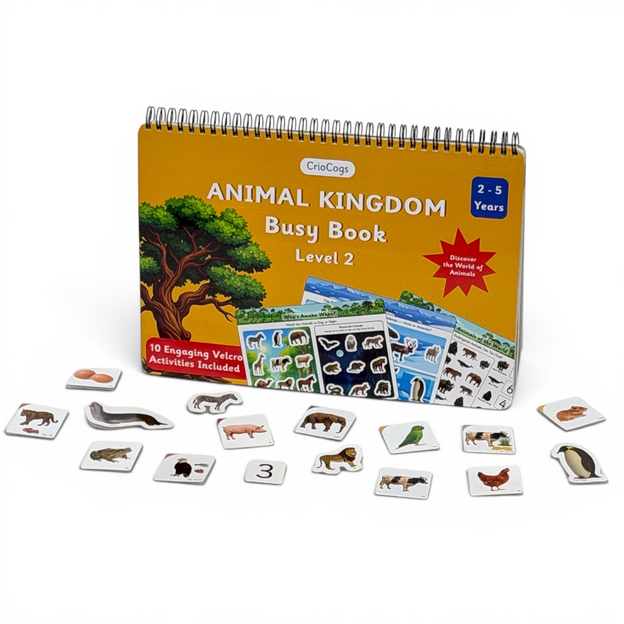Animal Kingdom Level 2 Busy Book