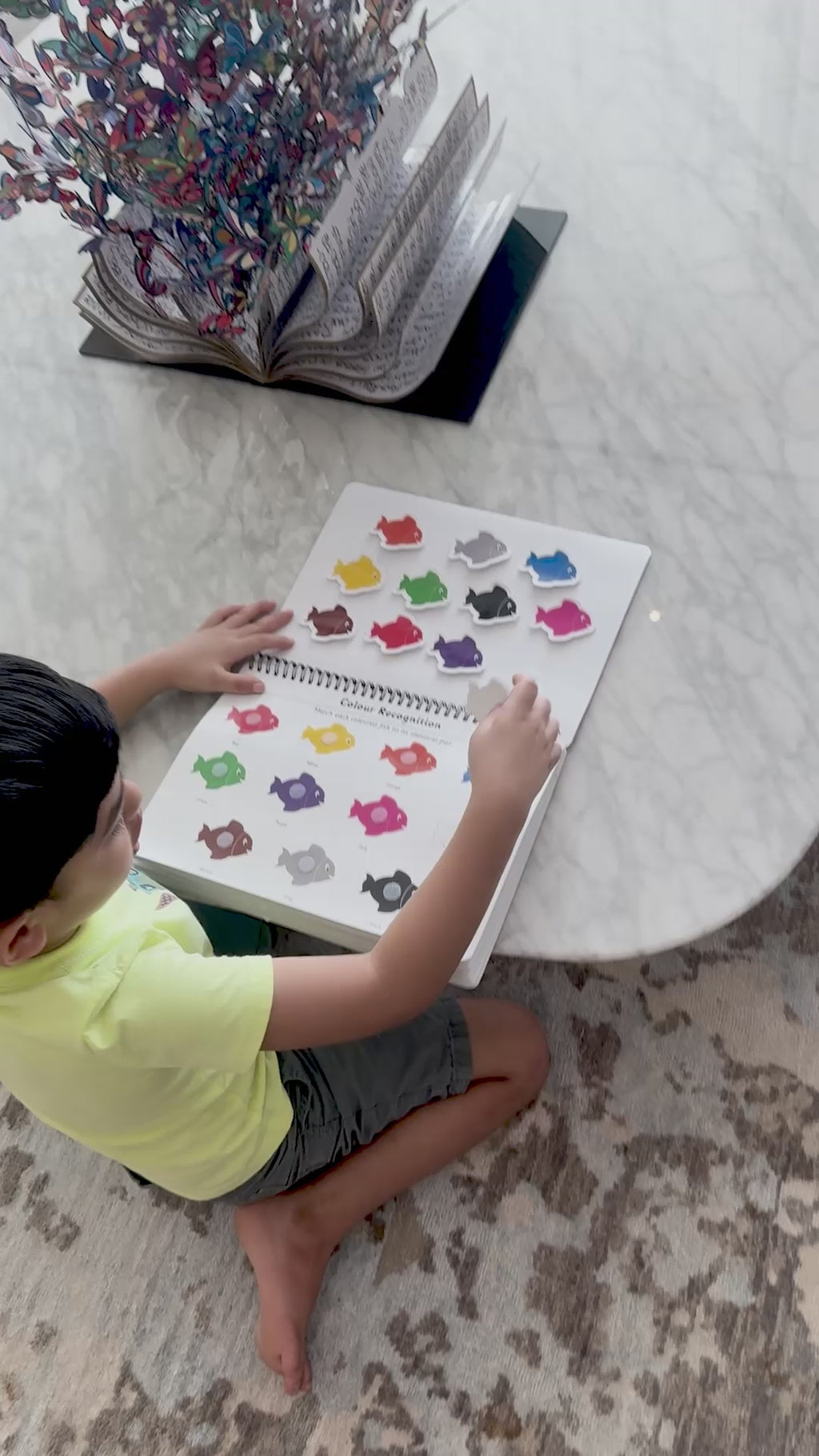 Colours and Shapes Activity Binder